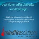 Does Flutter Offer Distinctive Cost Advantages