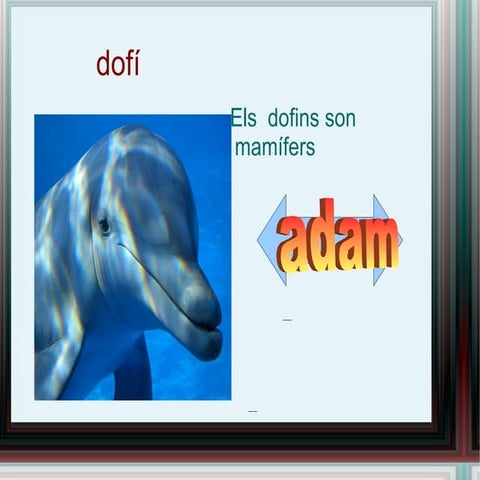 Dofins | PPTX