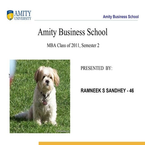 Market Research on Dog Food