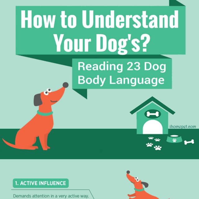 Understand Dog Body Language PDF