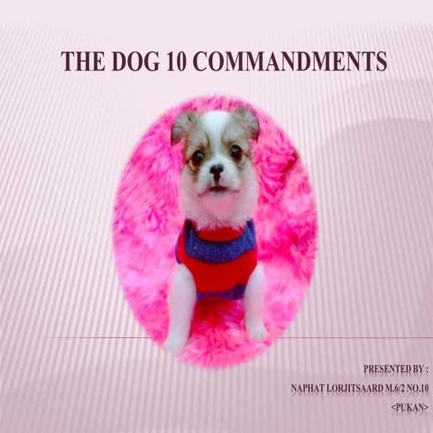 Dog 10 commandments