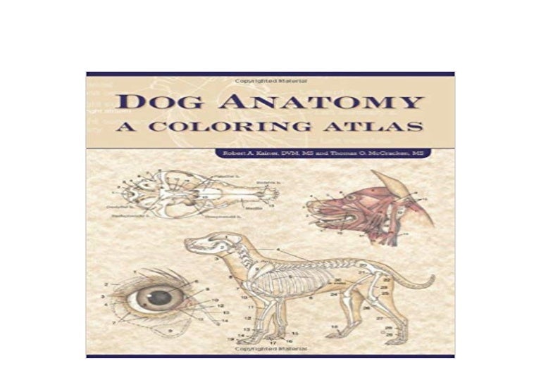 [download]_p.d.f Dog Anatomy A Coloring Atlas ^^Full_Books^^