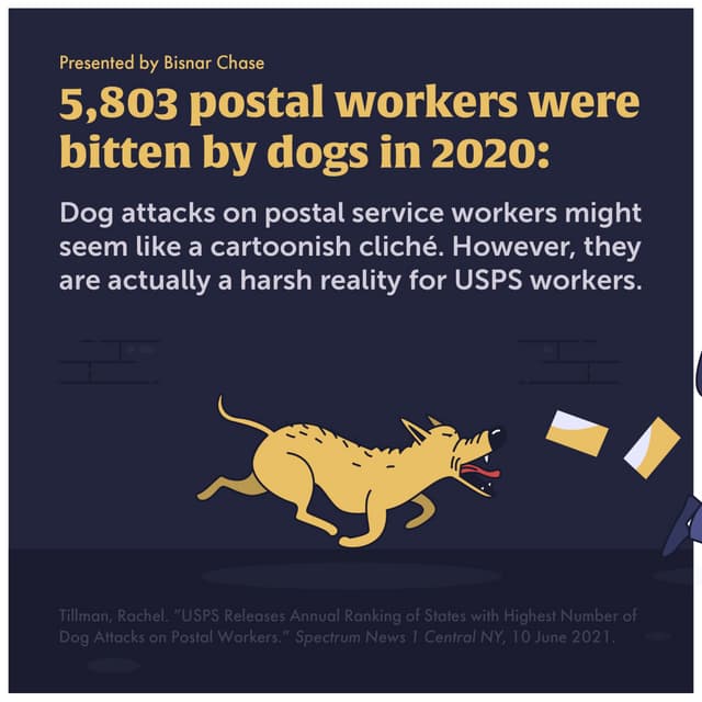 Dog Attacks on Postal Workers PDF