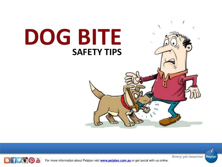 Dog Bite Safety Tips