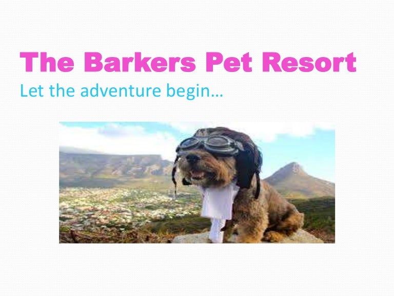 Ivermectin for scabies nz Heartworm medicine for dogs