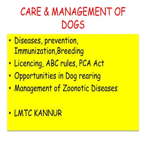 dog breeds lmtc.pptx