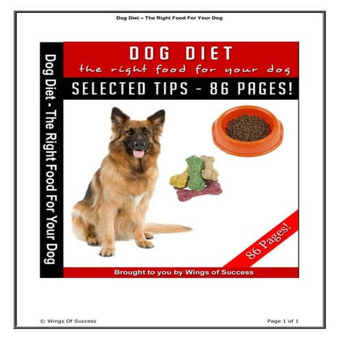 Dog diet the right food for your dog | PDF