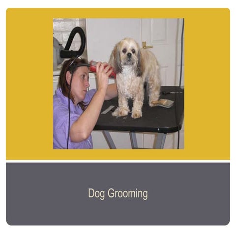 Easy Dog Grooming Tips - Step By Step Instructions | PPTX - Easy Dog Grooming Techniques For Cutting Mats