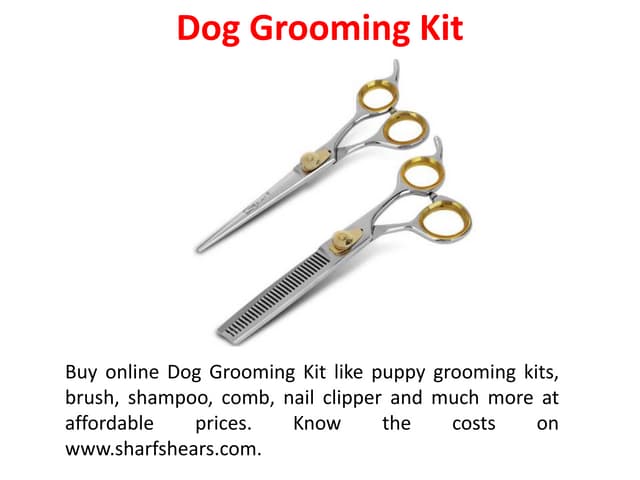 doggroomingkit-190607103659-thumbnail.jp