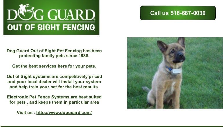 dog guard out of sight fencing