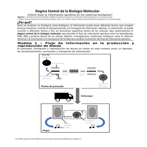 Dogma central de la biología molecular. Guía basada en la metodología POGIL.pdf