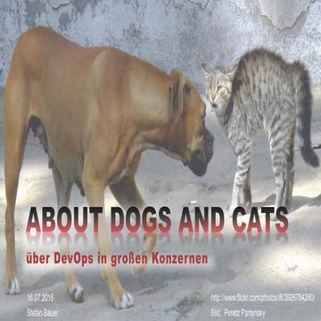 About Dogs and Cats - über DevOps in großen Konzernen