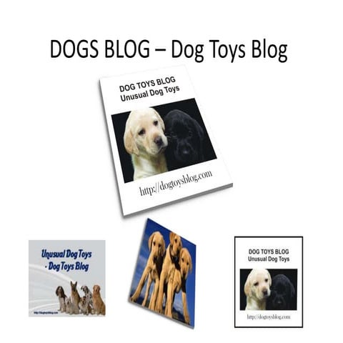 Dogs blog – dog toys blog | PPSX