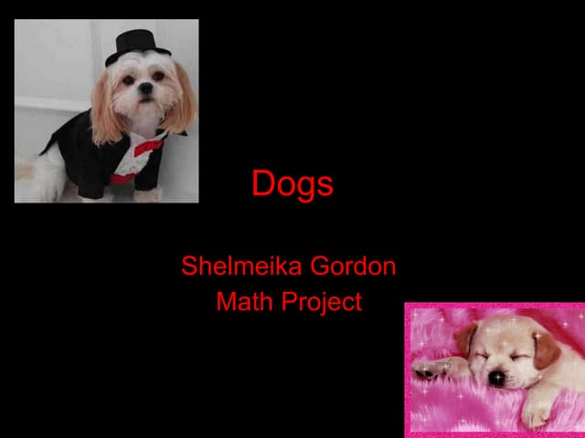 Dogsshelmeika