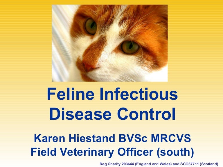 Feline Infectious Disease Control