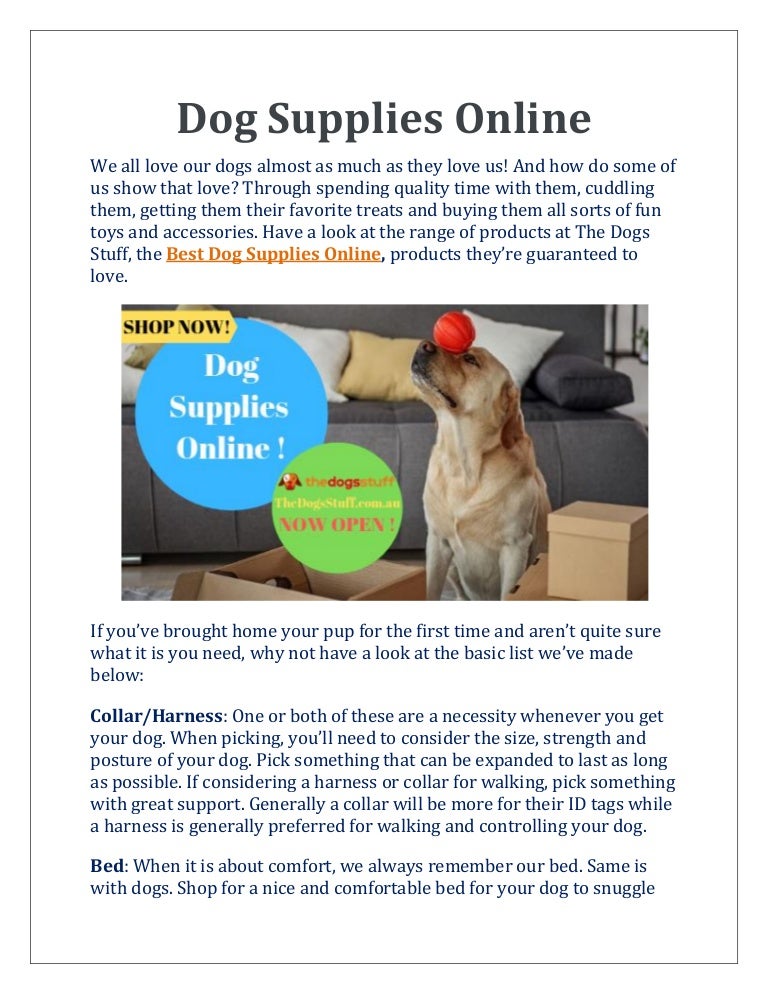 online dog supplies