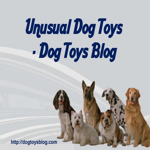 Unusual Dog Toys - Dog Toys Blog | PPSX