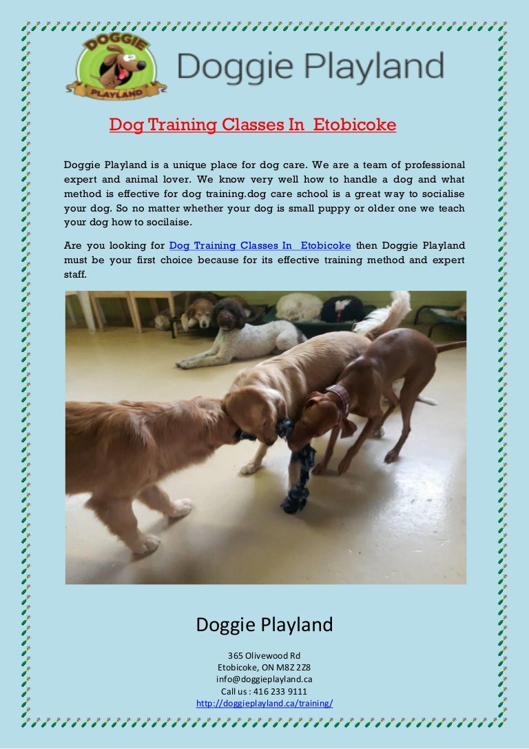 dog training etobicoke