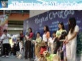 Dog Training School In Delhi Dog Training School In Delhi