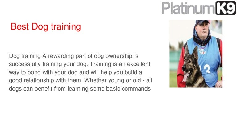 k9 best behaviour dog training