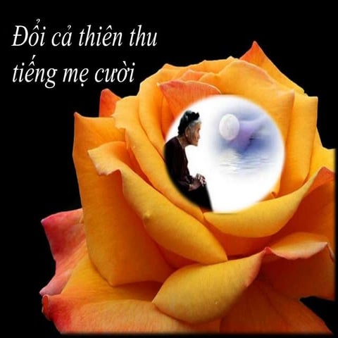 Doi ca thien thu tieng me cuoi 2