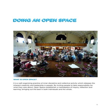 Doing an open space u report engagement
