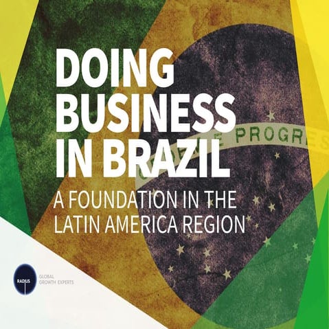 Doing Business in Brazil | PDF