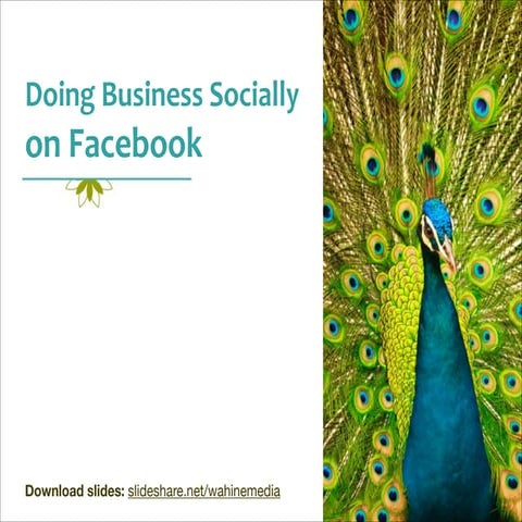 Doing Business Socially on Facebook | Wahine Media at Pacific New Media
