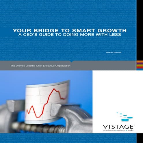 Doing More With Less White Paper