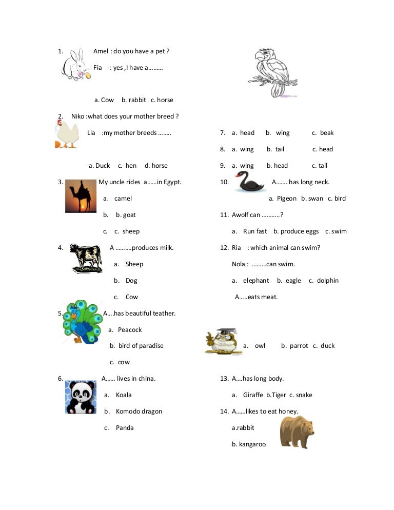 Dokumen Tips Soal Bahasa Inggris Animal