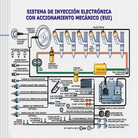 dokumen.tips_36274588-sistema-heui-eui.ppt