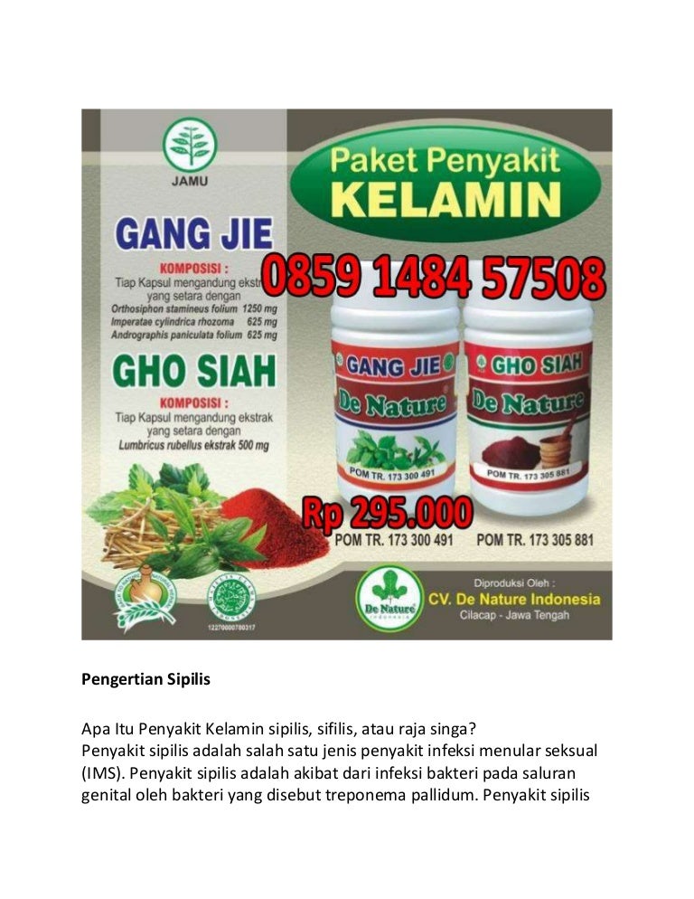 Penyebab Penyakit Sifilis Penyebab Penyakit Sifilis