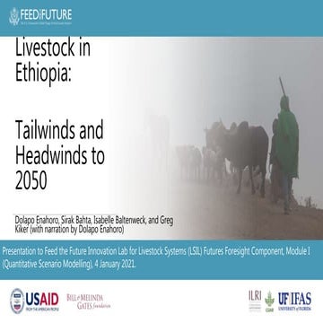 Livestock in Ethiopia: Tailwinds and Headwinds to 2050