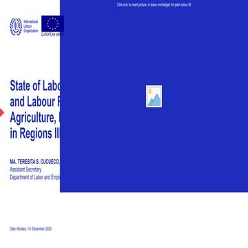 DOLE PPP For ILO Workshop 14 December 2020.pptx