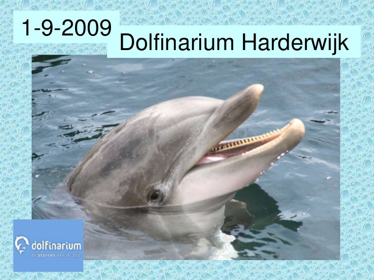 Dolfinarium Harderwijk