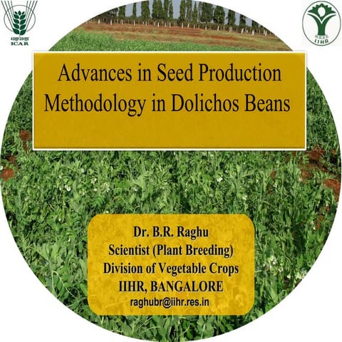 Dolichos seed production