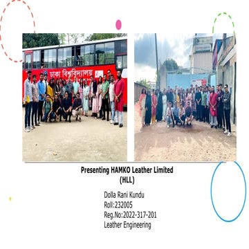 Comprehensive Overview of HAMKO Leather Limited's Manufacturing and ...