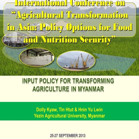  Input Policies in Myanmar - Dolly Kyaw