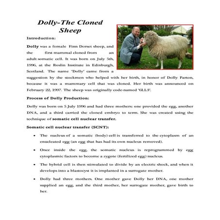 Dolly-The Cloned Sheep