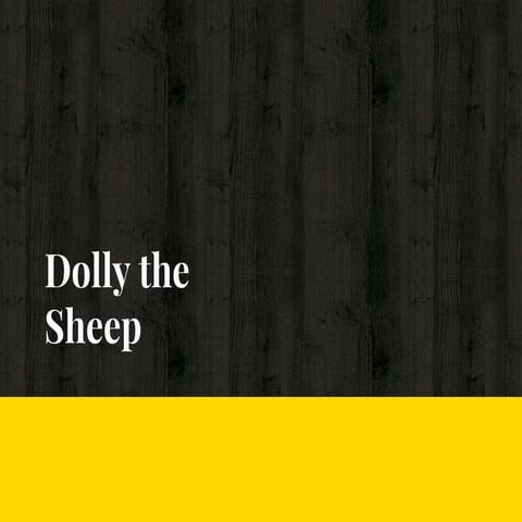 Dolly the Sheep: How She was Made