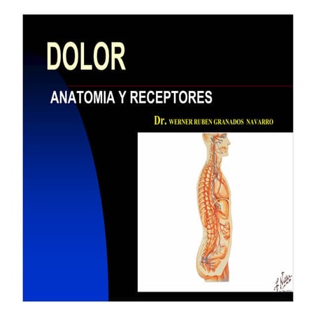 Dolor (fisiologia y mecanismos)