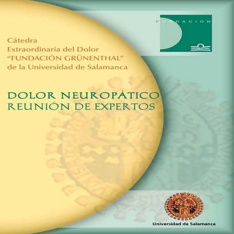 Dolor  neuropatico   reunion  de expertos  universidad de salamanca