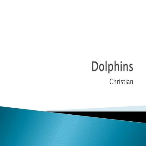 Dolphins
