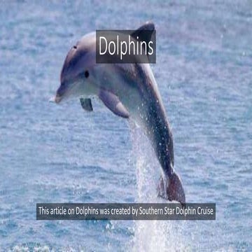Lessons from dolphin | PPSX