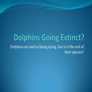 Dolphins going extinct