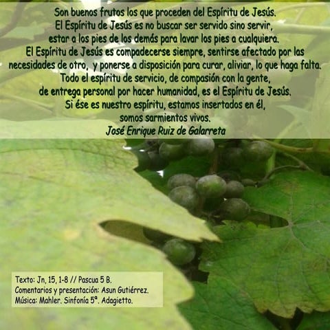 Domingo 5 de Pascua Ciclo B