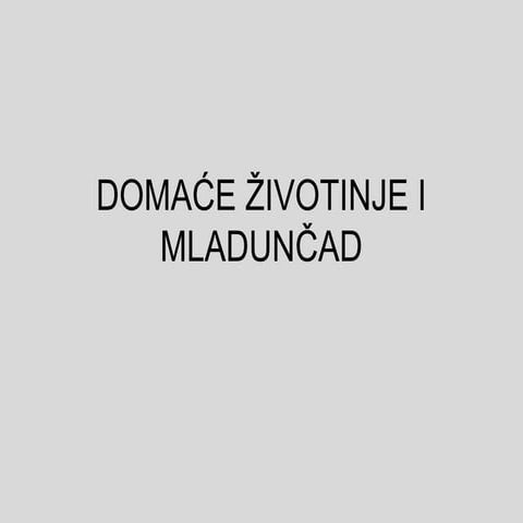 Domaće životinje i mladunčad
