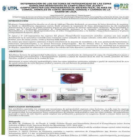 Dome poster feria cientifica