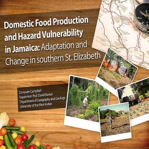 Domestic food production and hazard vulnerability jamaica