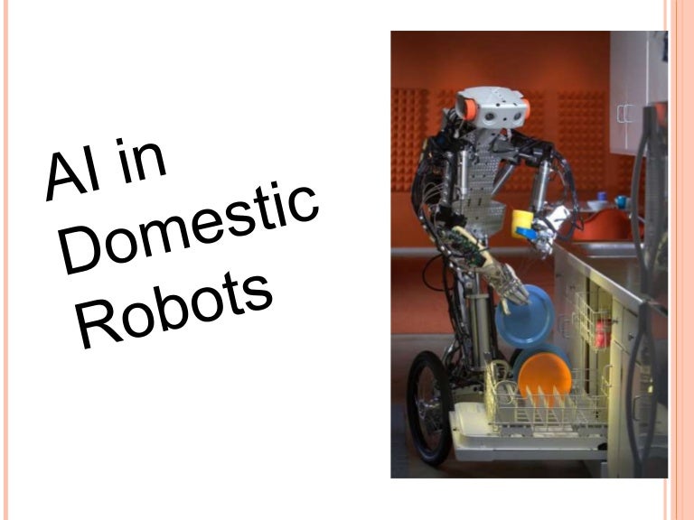 domestic robots